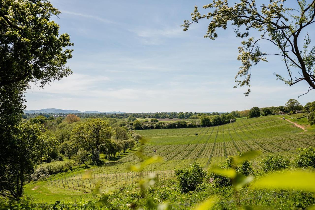 Hencote Vineyard Glamping Village Шрусбері Екстер'єр фото
