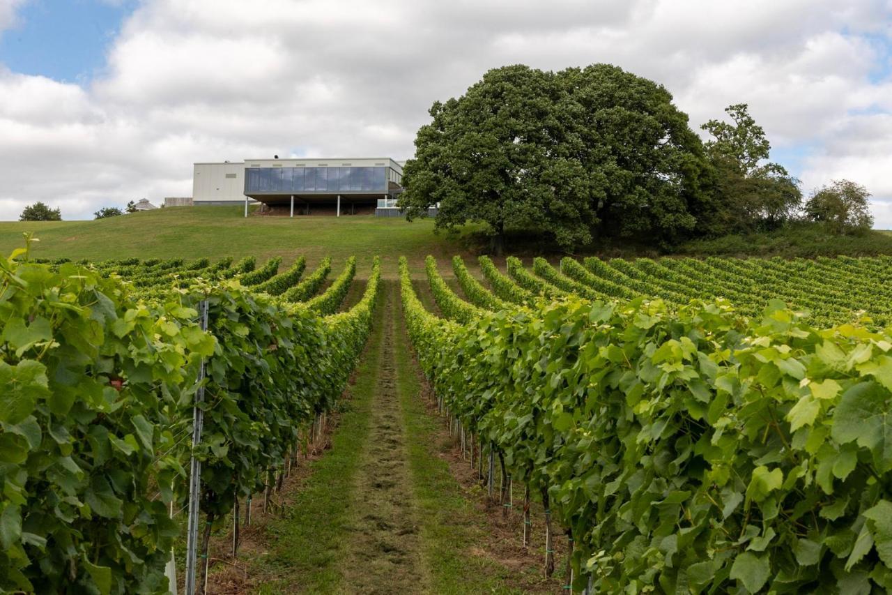 Hencote Vineyard Glamping Village Шрусбері Екстер'єр фото